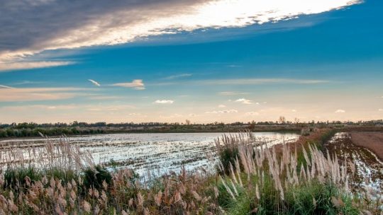 Saintes Maries de la Mer, petit bijou de la Camargue