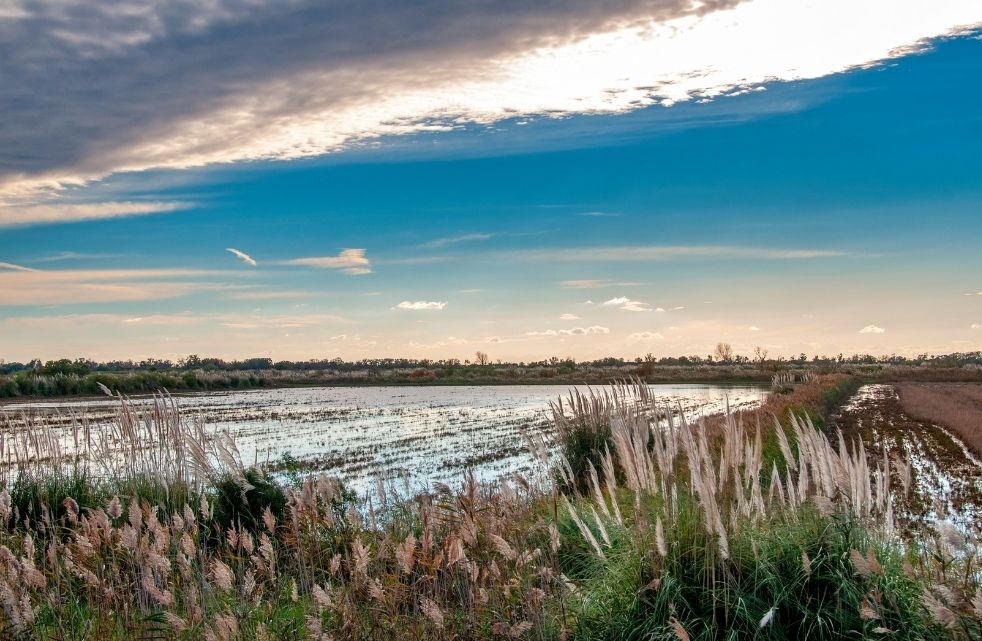 Saintes Maries de la Mer, petit bijou de la Camargue