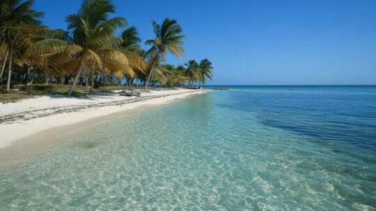 Le Belize est-il dangereux ? Les arnaques les plus fréquentes et comment s’en protéger en 2025