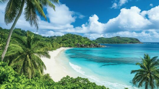 À la recherche d’une expérience authentique : quelle agence pour organiser un voyage aux Seychelles en villa isolée ?
