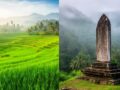 Sri Lanka ou Bali : quelle destination choisir pour vos vacances en famille sur les plus belles plages ?